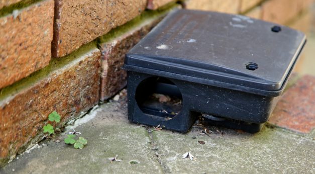 A black plastic rat trap. Pest control concept image.
